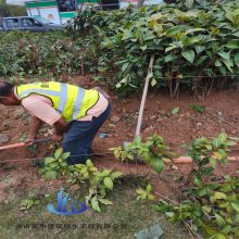 承接老旧路改造工程 凯中施工地下管网改造工程队