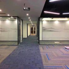 Singapore euro-n office carpet, square conference