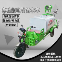 电动新能源雾炮洒水车/0.8方水罐洒水车/ 路面降尘地洒车