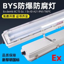 新黎明led防爆防腐全塑荧光灯40W仓库厂房照明药厂三防灯18W