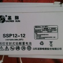 ʥSP12-38 ά 12V38AH/20HR ֱ UPSԴ