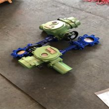 PZ9B73Y整体防爆型电动对夹式刀闸阀