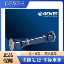 GEWES˹ άް 2110-15/44.6 ȫ 趨 ѡ