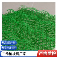 加筋麦克垫护坡网 三维植被网 绿化固土土工网垫 河道路基护坡