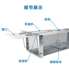̤岶ȫԶץ