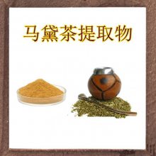 马黛茶提取物 支持拿样 含税含运