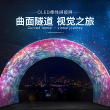 OLEDƴѾΪչʾƷ ʾ˲ͬĸо OLEDĲɹ
