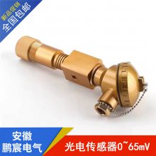 巵 ȵż 紫 0~65mV