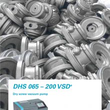 DHS065-200VSD+˹ʽݸձ