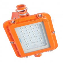 øLED\DGS36/127L \AC127V\24W