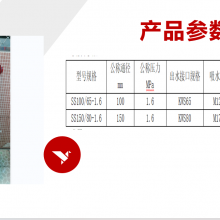 ˨SS100-65-1.6 ԰·ֹ豸