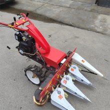 ʹո 賬ĳ̵иɹ ոѴ󶹸