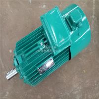 YZP112M1-4 3KWұص YZPƵٵ綯 ľ˹