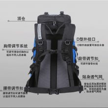 ��ɽ��˫�����Ů���з�ˮ50l���ⱳ���˶���������ҰӪVX18221456976