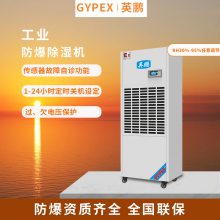 英鹏防爆工业除湿机--BCF-7192C-涂料厂防爆除湿机，防爆大型除湿机