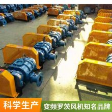 型号65罗茨鼓风机 压力49kpa 风量2立方 4kw 三叶 曝气