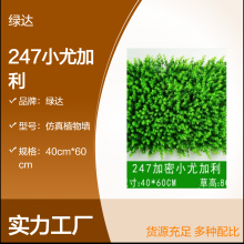 仿真植物墙高端轻奢网红名宿地台造景软酒店枯山水玄关组合背景墙