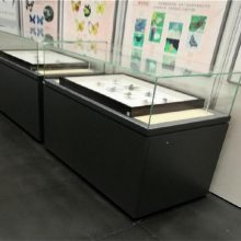 平面书画陈列柜订制 五面玻璃上翻式博物馆展柜