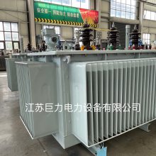 ЧS20-500KVA-NX2ͽʽѹ