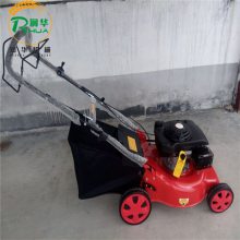 ʽݻ ﶯ͸ ʽݻ