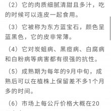 北方种植的葡萄苗品种有哪些_扦插葡萄苗供应商