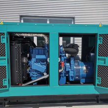 YC6K500-D30ͻ 300KW