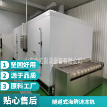 全自动秋葵速冻机 30型 果蔬加工厂设备 食品级不锈钢