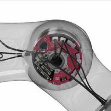 SynapticonCirculo 9֧˫Circulo 7ڹؽԲֱ