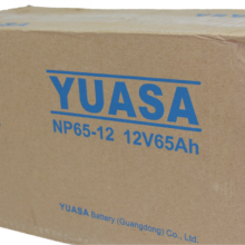 ǳNP65-12/YUASA㶫ǳǦ12v6***h