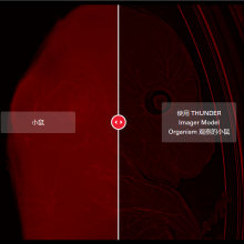 人⿨΢THUNDER Imager