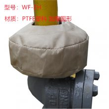 PTFEֱֳɶ