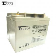 泰斯特蓄电池TST12V100 12V100AH安防警报系统