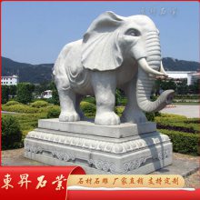 定制石雕大象 景区门前白麻石g603大象 大理石元宝大象雕塑