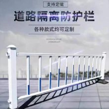 锌钢市政交通护栏 道路车辆分流防撞围栏 蓝白色免维护马路栏杆