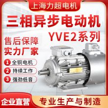 上海力超电机 YVF2系列 变频调速电机 三相异步交流电动机