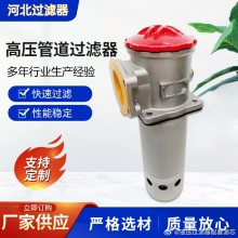 雷胜原厂RFA-400X10F掘进机液压油滤芯 发货方便可定制