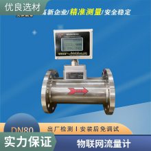 ȻDN25-DN100ֲ ޴4-20ma Ǳ