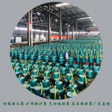 FQW70-30/W÷綯Ǳˮúֻ