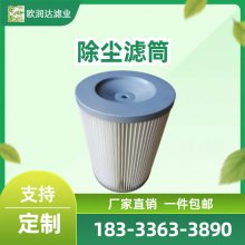 扫地车吸尘滤清器300*150 除尘滤芯350*700 粉尘滤筒350*900