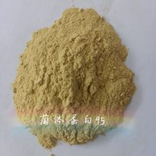 菌体蛋白 反刍类 水产类饲料