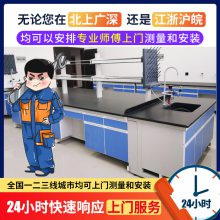 钢木实验台实验室边台研发室操作台化验室工作台全钢中央台理化室水槽台学生实验桌