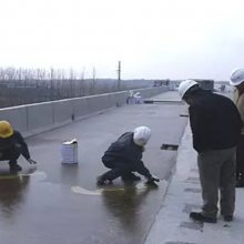 鲸鱼牌 AMP-100型改性沥青桥面防水涂料供应商