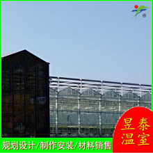 玻璃智能连栋温室蔬菜种植育苗阳光板大棚YTWSWL1191