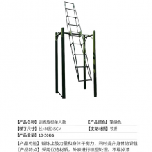 抗眩晕体能训练器材 训练攀爬架(三合一门式) (四面