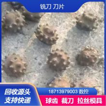 ������ ���� �Ͻ�Ƭ �ɻ����豸���Ž���� �����չ� ���ŷ���