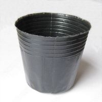营养钵 营养杯 园艺育苗杯 黑色软塑料花盆 10*10 现货批发