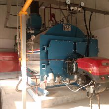 燃气蒸汽锅炉低氮环保高效节能建材涂料厂酒厂罐头厂