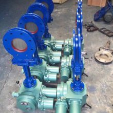 PZ973Y-10C DN250 綯Լʽ˵բ͵綯բPZ973Y ˵բ
