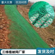 全新世杰料EM5三维植被网护坡 园林绿化固土 土工网垫 防止边坡雨水冲蚀