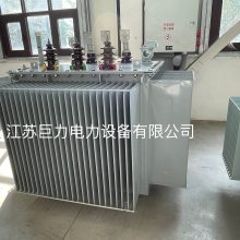 10kVѹ ȫͭ/ȫS11-630kVA/10kVͽʽѹ